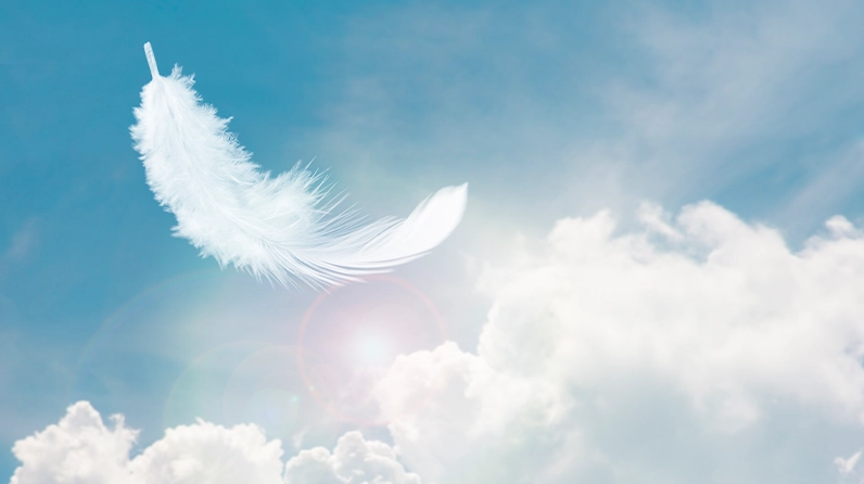 CIO Notebook: Light May Inflation Readings Put Fed on Notice