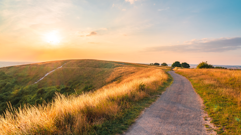 CIO Notebook: Fed Stands Firm as Powell’s Successor Waits in the Wings