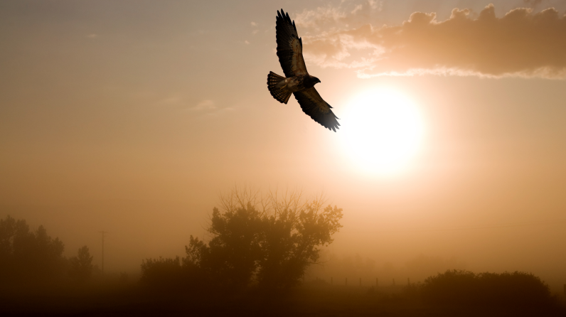 CIO Notebook: Markets Rattled as Fed Leans Hawkish