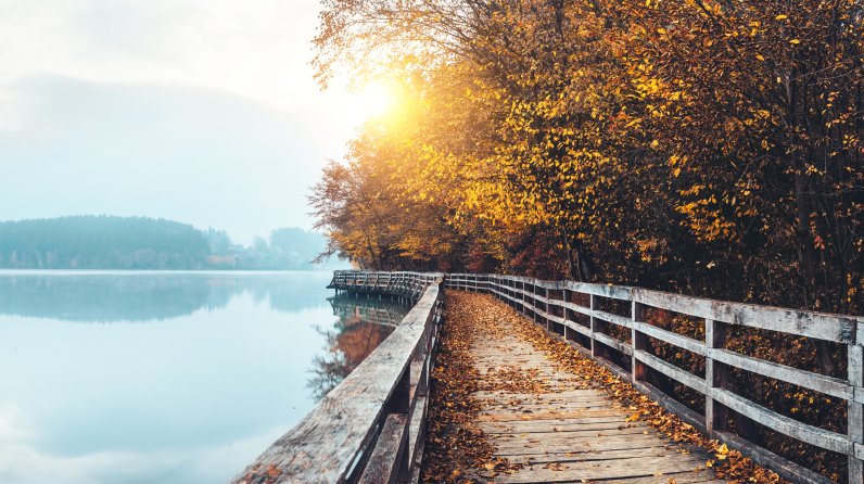 December_CPI_Softer_but_Unlikely_to_Change_the_Course_Webpage_796x446