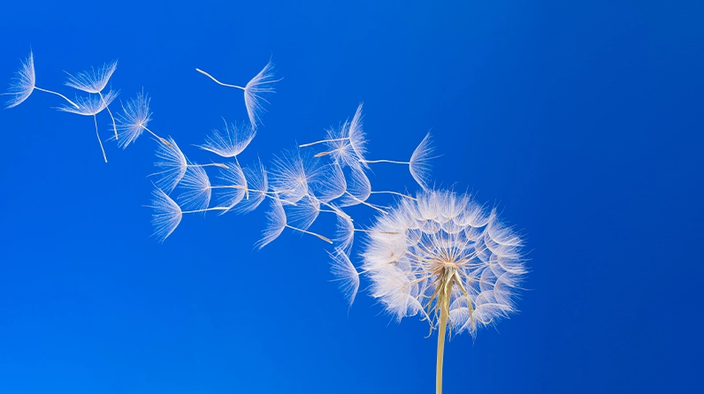 Plan for Peace of Mind with Our Estate Planning Organizer
